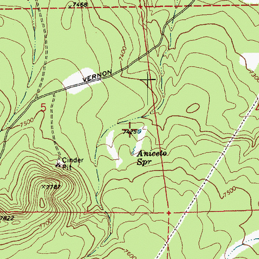 Topographic Map of Aniceto Tank, AZ