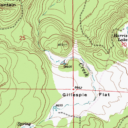 Topographic Map of Silver Spring, AZ