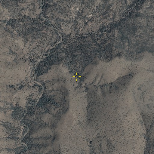 Aerial/Satellite Image of Trail Spring, AZ