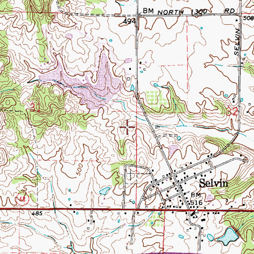 Topographic Map of Yellow Bank Lake, IN