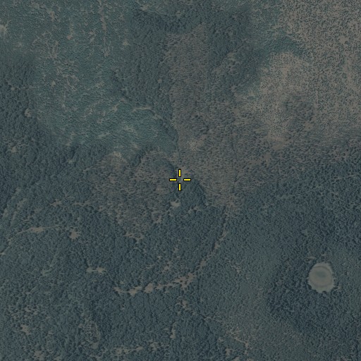 Aerial/Satellite Image of Bosque Tank, AZ