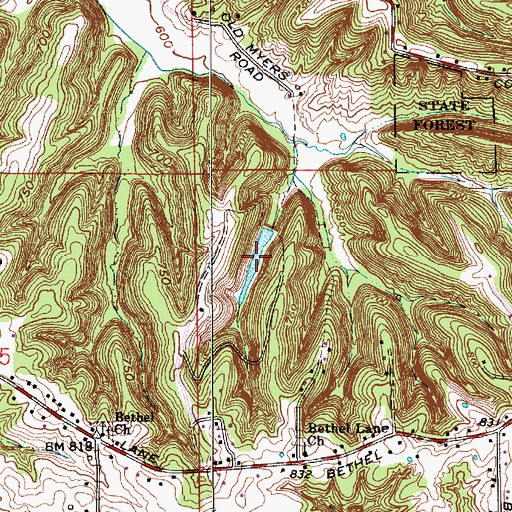 Topographic Map of Bethal Lake, IN
