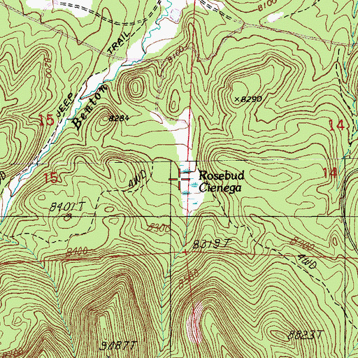 Topographic Map of Rosebud Cienega, AZ