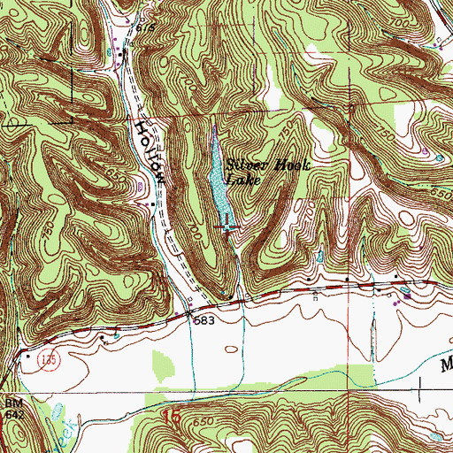Topographic Map of Silver Hook Lake Dam, IN