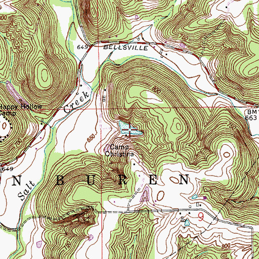 Topographic Map of Camp Christina Lake, IN