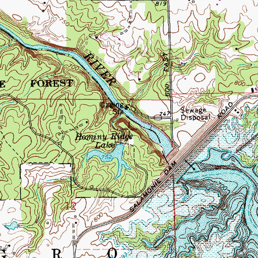 Topographic Map of Hominy Ridge Lake Dam, IN
