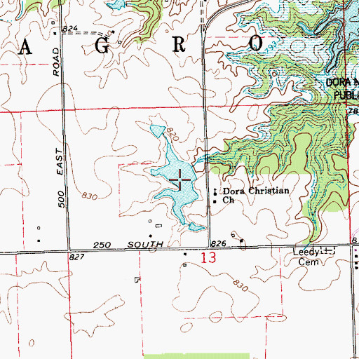 Topographic Map of Dick Thomas Pond, IN