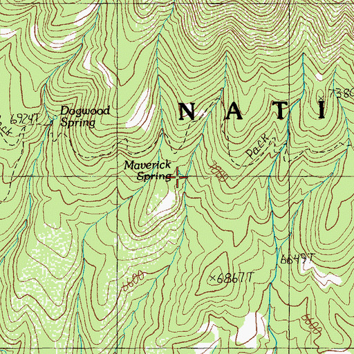 Topographic Map of Maverick Spring, AZ