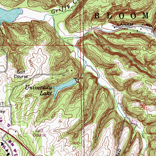 Topographic Map of Morey Lake Dam, IN