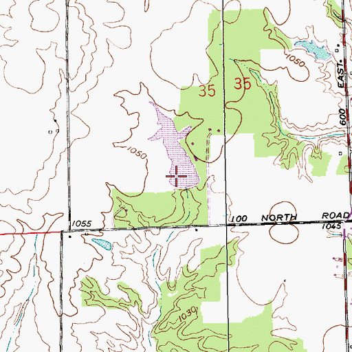 Topographic Map of Reed Dam, IN
