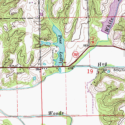 Topographic Map of Pine Lake Dam, IN