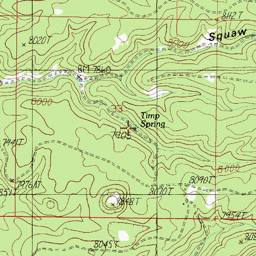 Topographic Map of Timp Spring, AZ
