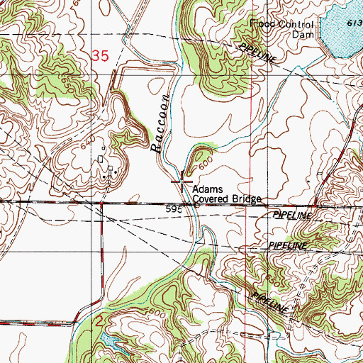 Topographic Map of Rays Branch, IN