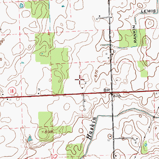 Topographic Map of Loew Lake, IN