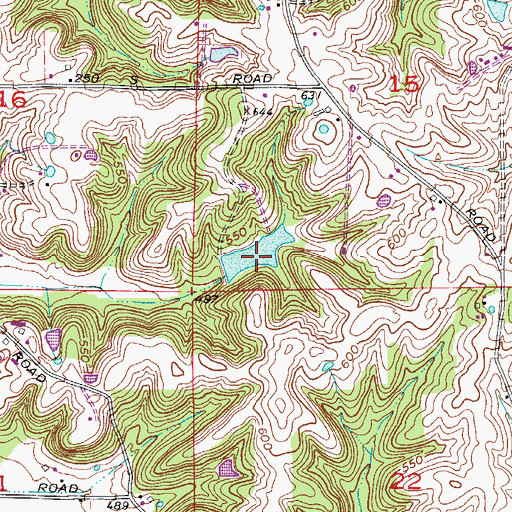 Topographic Map of Birk Lake, IN