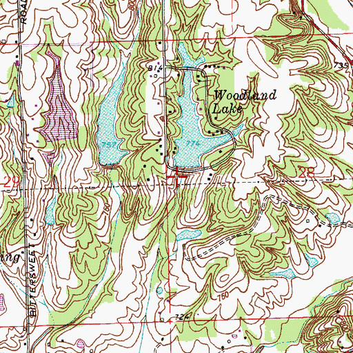 Topographic Map of Woodland Lake Dam, IN