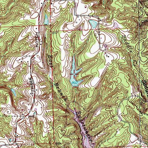 Topographic Map of Steiger Lake, IN