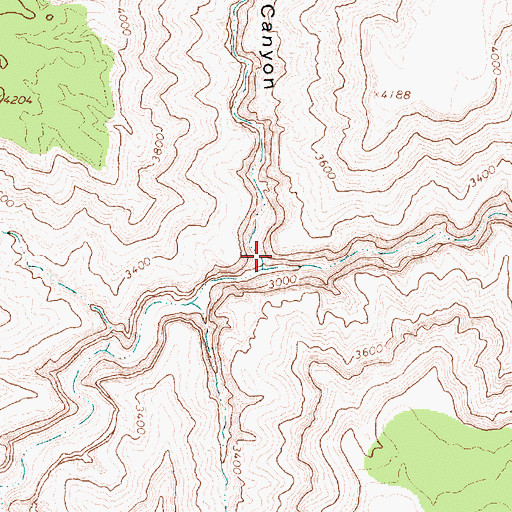 Topographic Map of Twin Spring Canyon, AZ
