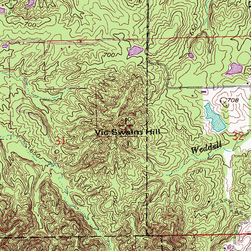 Topographic Map of Vic Swaim Hill, IN