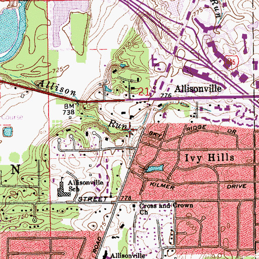 Topographic Map of Ivy Branch, IN