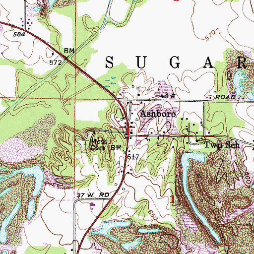 Topographic Map of Ashboro, IN