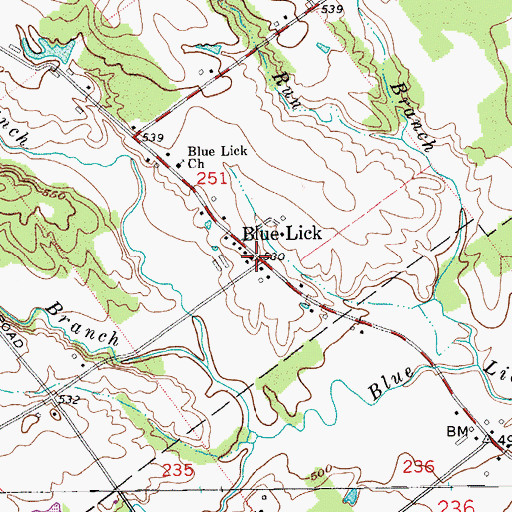 Topographic Map of Blue Lick, IN
