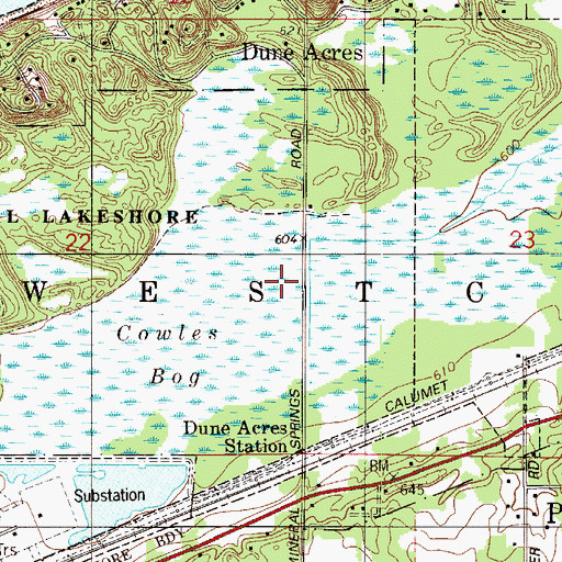Topographic Map of Cowles Bog, IN