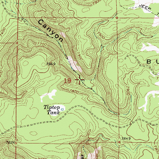 Topographic Map of Turkey Tank, AZ