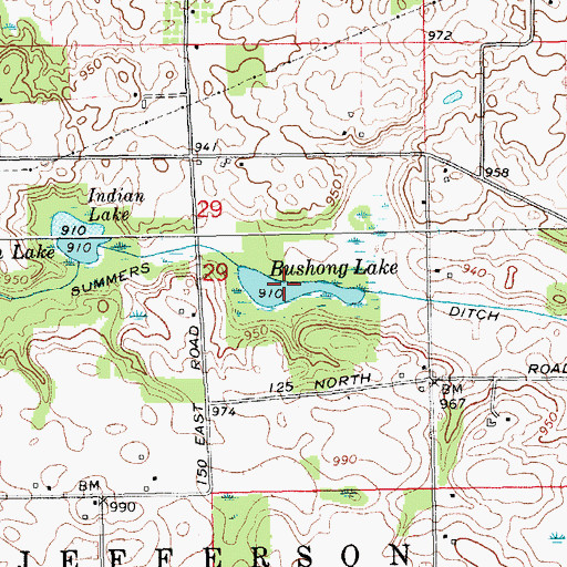 Topographic Map of Bushong Lake, IN