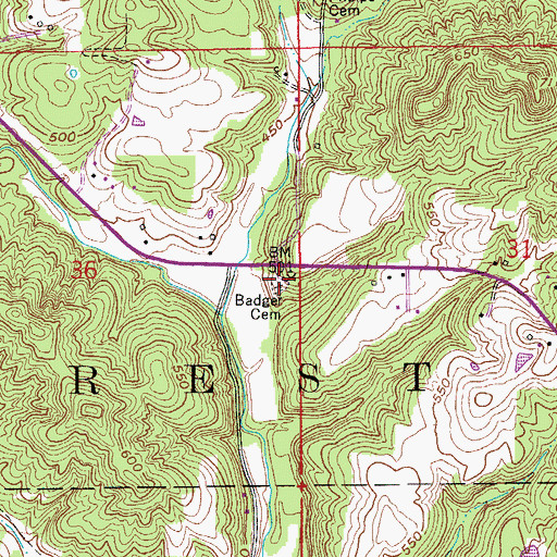 Topographic Map of Badger Cemetery, IN
