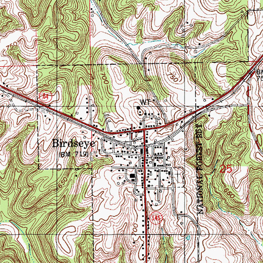 Topographic Map of Birdseye, IN