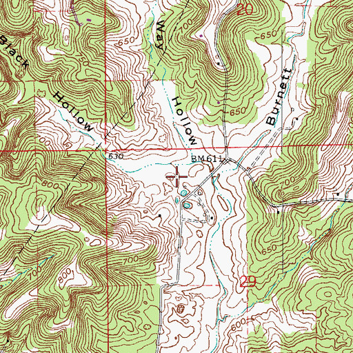 Topographic Map of Black Hollow, IN