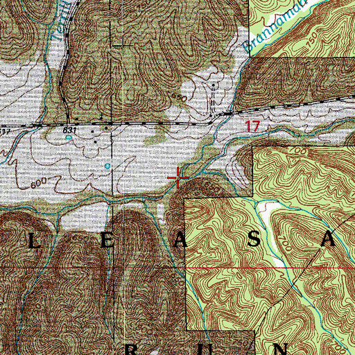 Topographic Map of Brannaman Branch, IN