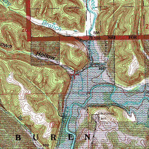 Topographic Map of Brown Hollow, IN