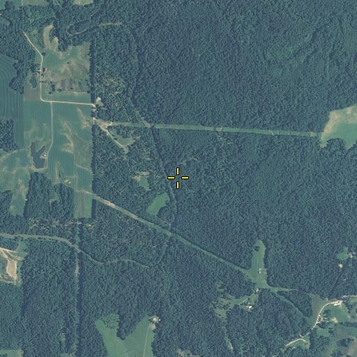 Aerial/Satellite Image of Brushy Fork, IN
