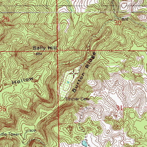 Topographic Map of Burton Ridge, IN