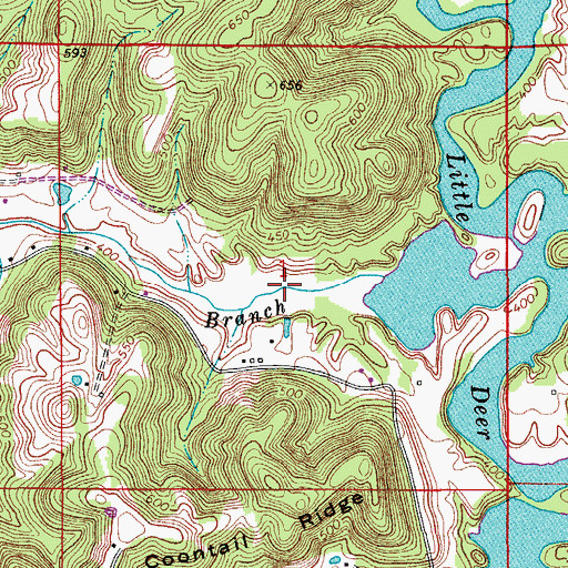 Topographic Map of Caney Branch, IN