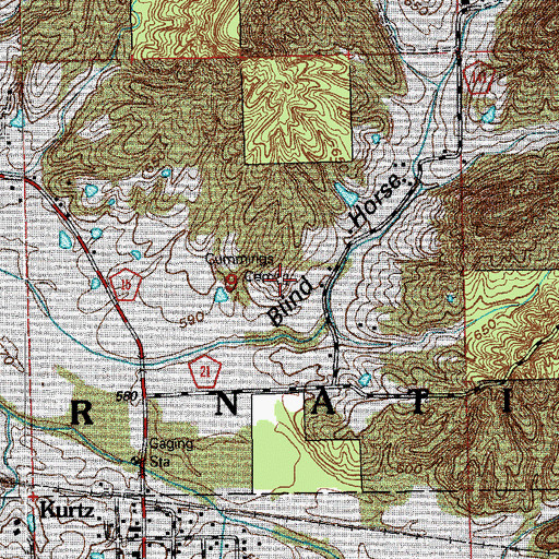 Topographic Map of Cummings Cemetery, IN