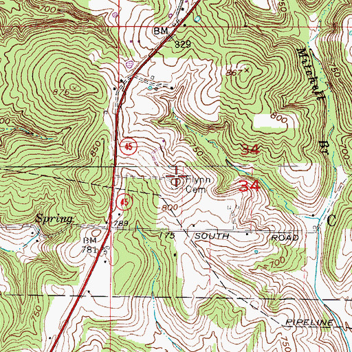 Topographic Map of Flynn Cemetery, IN