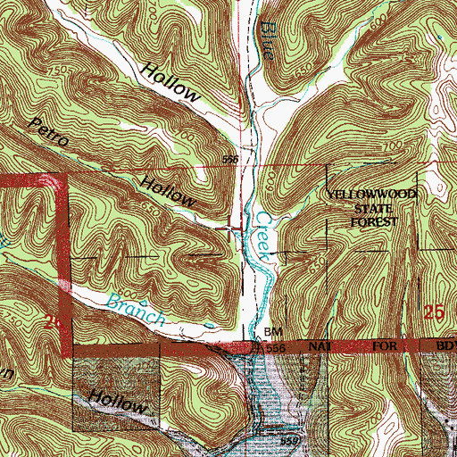 Topographic Map of Petro Hollow, IN