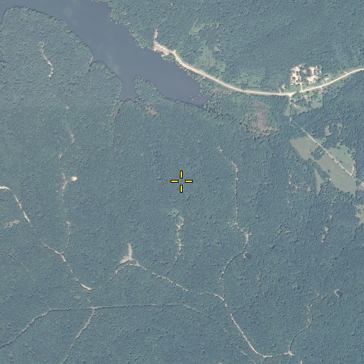 Aerial/Satellite Image of Pine Ridge, IN