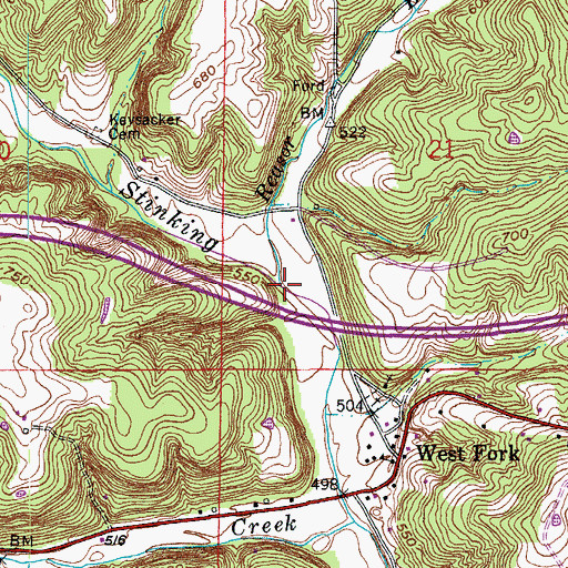 Topographic Map of Reasor Branch, IN