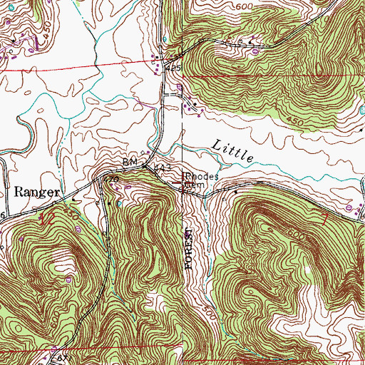 Topographic Map of Rhodes Cemetery, IN
