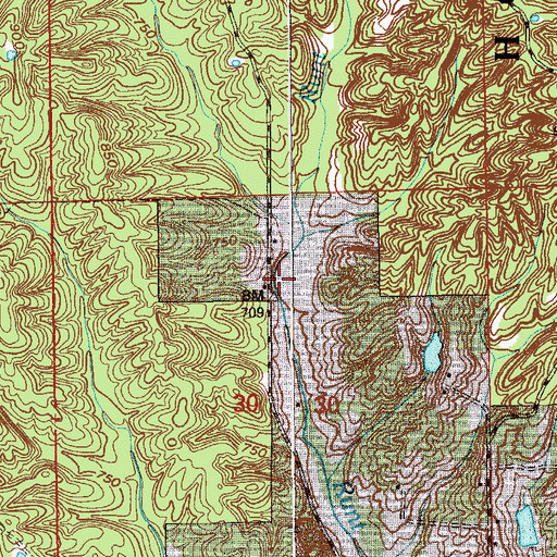 Topographic Map of Runt Run, IN