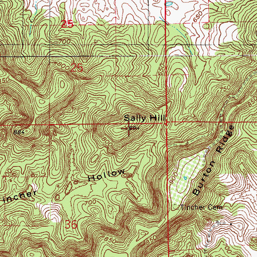 Topographic Map of Sally Hill, IN