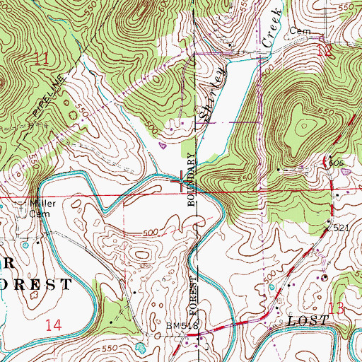 Topographic Map of Shirley Creek, IN