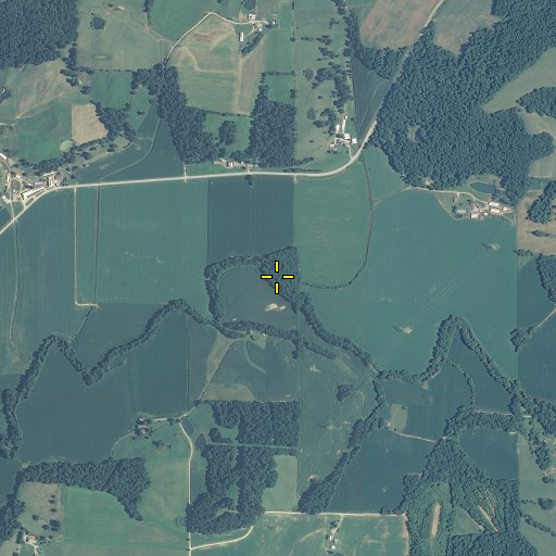 Aerial/Satellite Image of Stapleton Run, IN