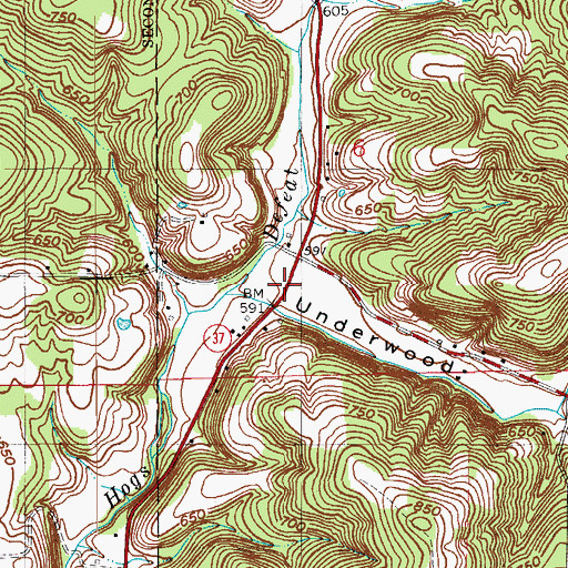 Topographic Map of Underwood Hollow, IN