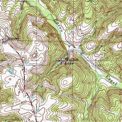 Topographic Map of Walton Lake, IN