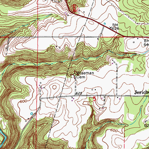 Topographic Map of Wiseman Cemetery, IN